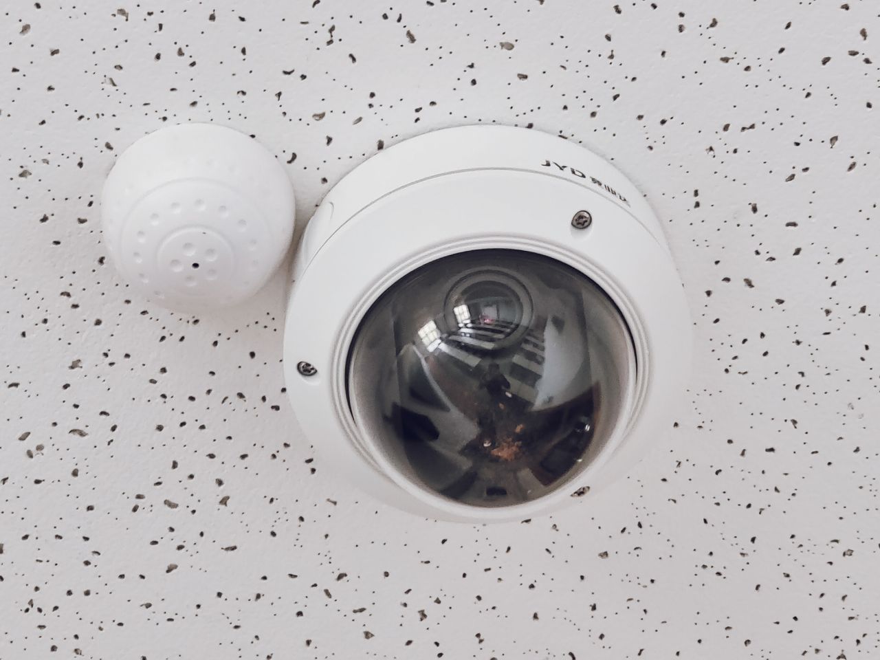 Dome Camera